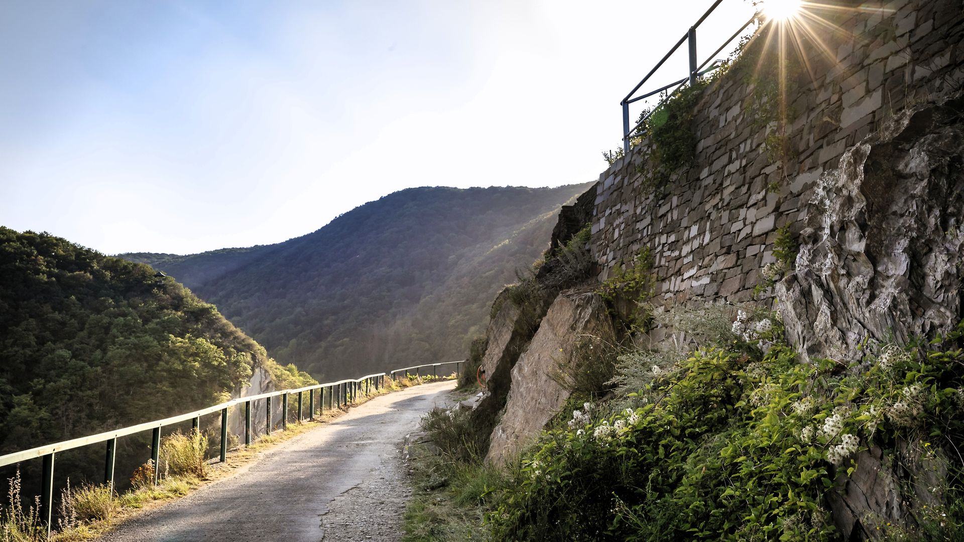 Wanderweg in Weinbergen des Ahrtals