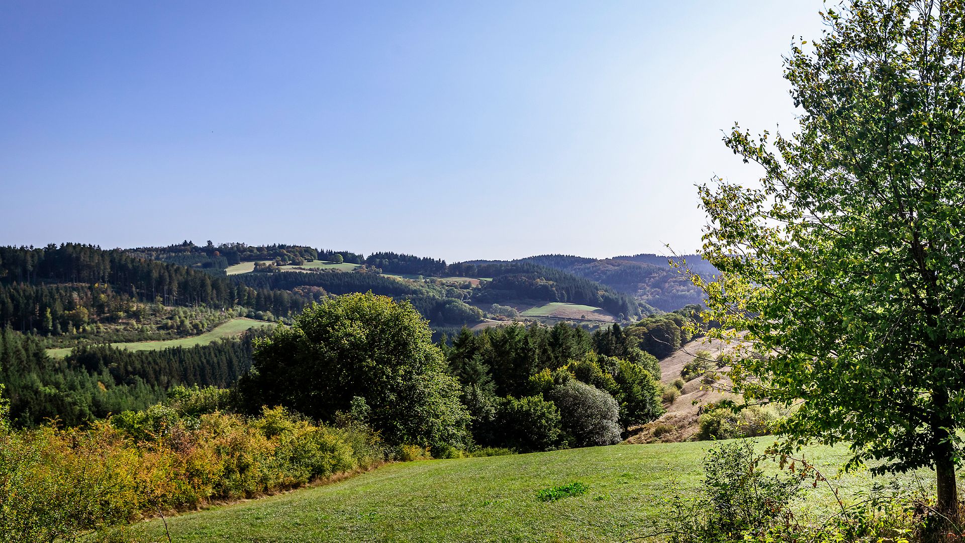 Blick über Hügelketten in der Eifel