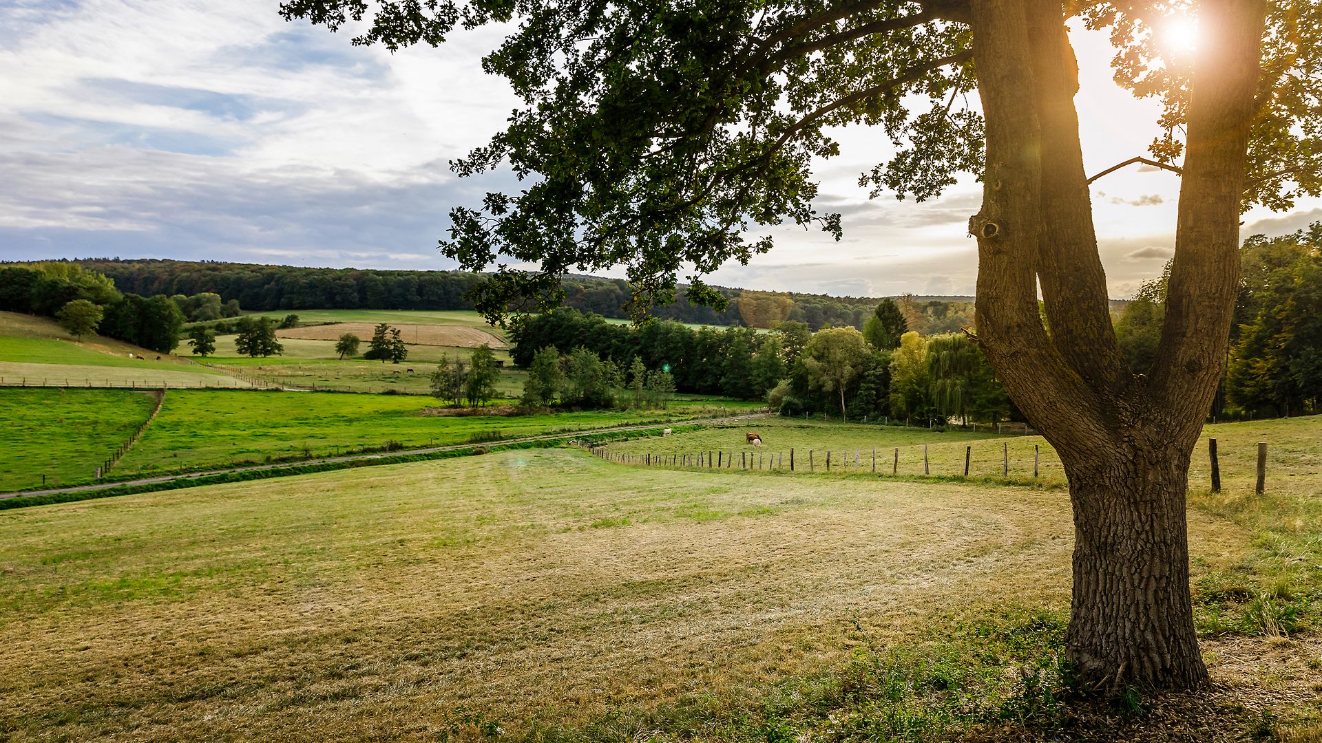 Blick ins Voreifelland