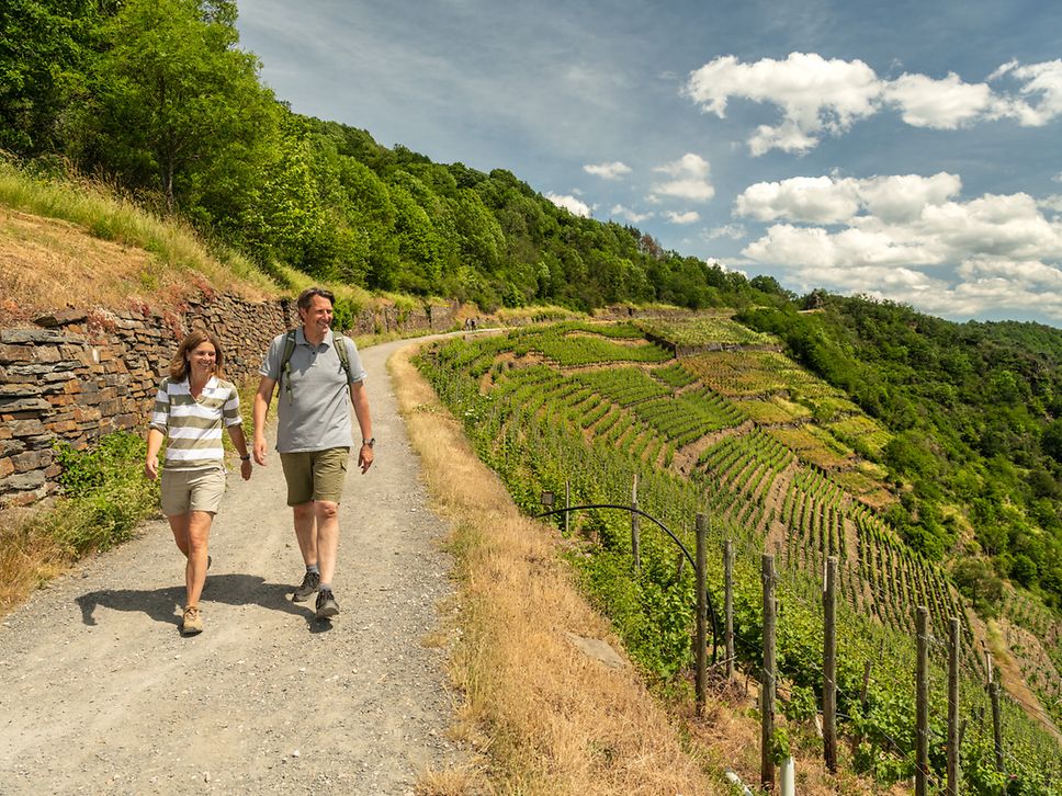 Wandernde auf dem Rotweinwanderweg