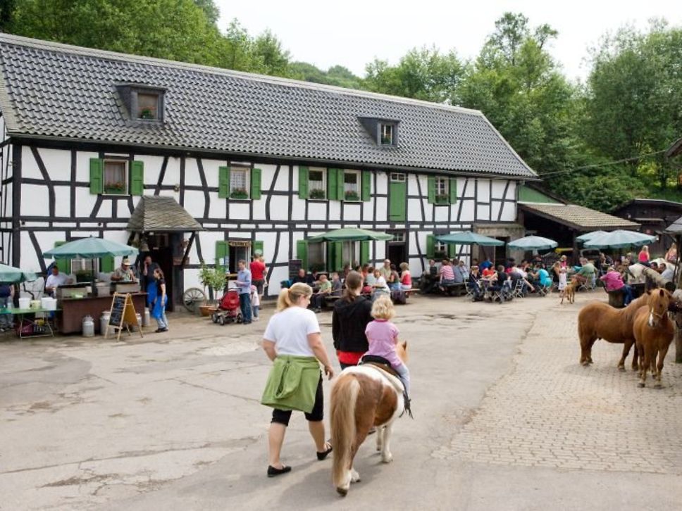 Gammersbacher Mühle am Mühlentag (Stefan Arendt, LVR)