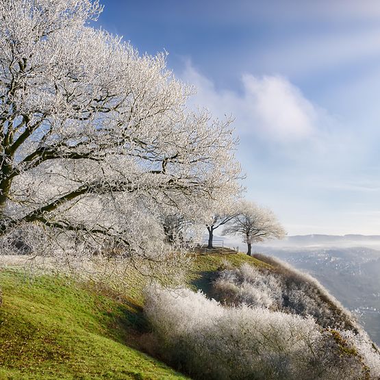 Blick von der Erpeler Ley über das Rheintal